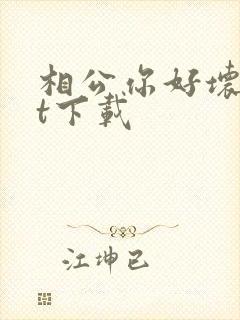 相公你好坏txt下载