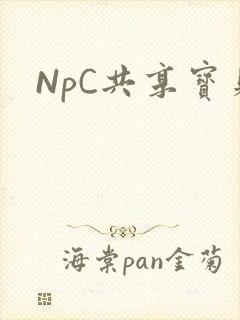 NpC共享宝贝