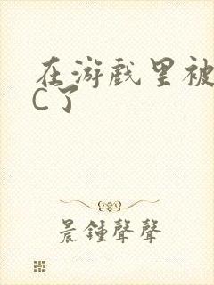 在游戏里被怪物C了