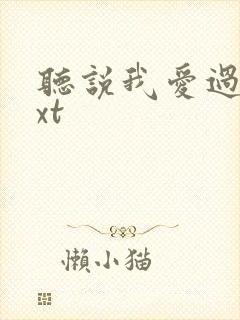 听说我爱过你txt