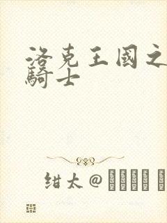 洛克王国之圣龙骑士