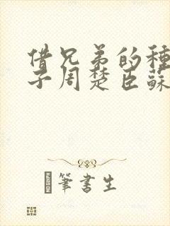 借兄弟的种生孩子周楚臣苏糖