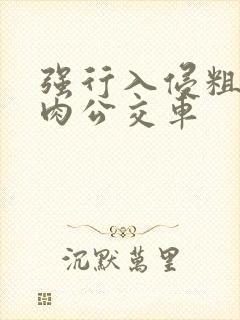 强行入侵粗暴h肉公交车