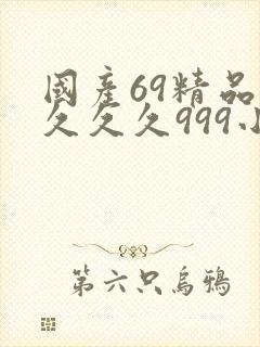 国产69精品久久久久999小说