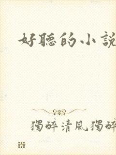 好听的小说名字