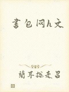 书包网h文