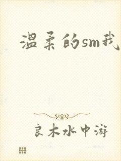 温柔的sm我