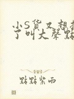 小S货又想挨C了叫大声点小