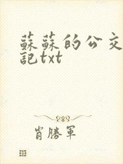 苏苏的公交车日记txt