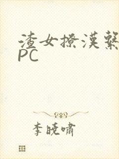 渣女撩汉系统NPC