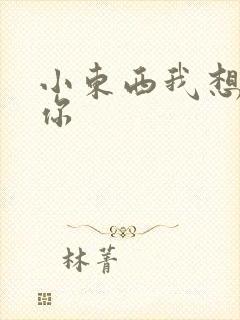 小东西我想弄坏你