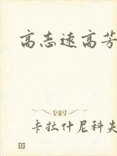 高志远高芳