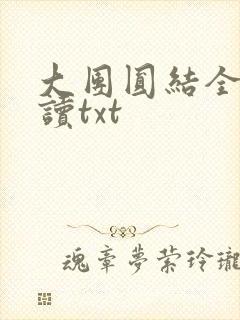 大团圆结全文阅读txt