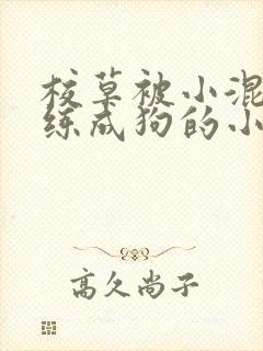 校草被小混混训练成狗的小说