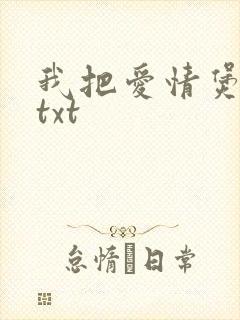 我把爱情煲成汤txt
