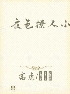 夜色撩人小说