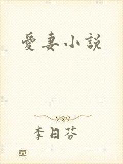 爱妻小说