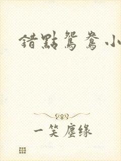 错点鸳鸯小说