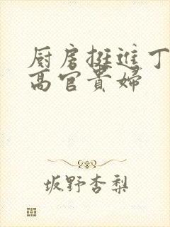 厨房挺进丁字裤高官贵妇