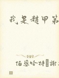 我是赵甲第小说