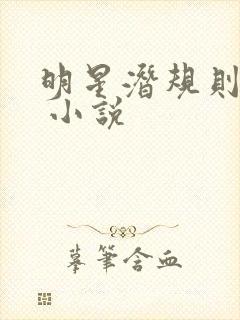 明星潜规则之皇 小说