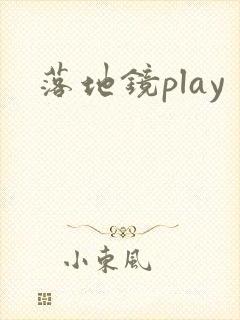 落地镜play