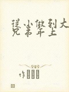 从小做到大骨科兄弟年上