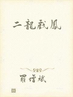 二龙戏凤