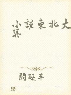 小说东北大炕全集