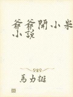 爷爷开小米的包小说