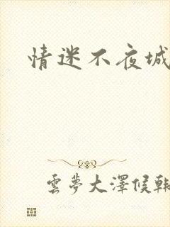 情迷不夜城