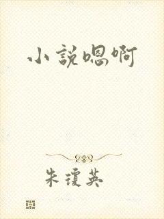 小说嗯啊