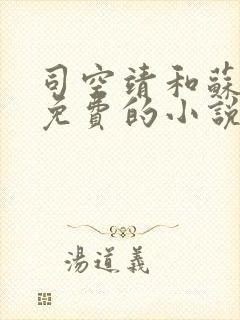 司空靖和苏月汐免费的小说笔趣阁