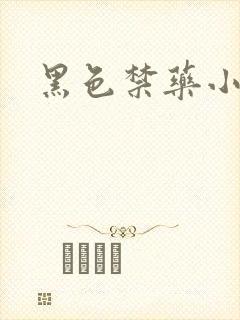 黑色禁药小说