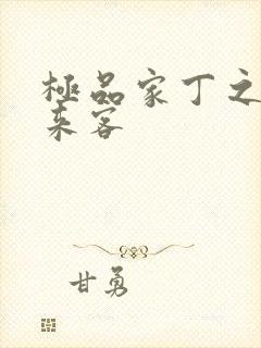 极品家丁之远方来客