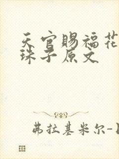 天官赐福花怜塞珠子原文