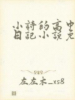 小诗的高中成长日记小说免费阅读