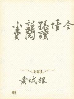 小说孙倩全文免费阅读