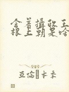 含着摄政王的紫根上朝是啥小说