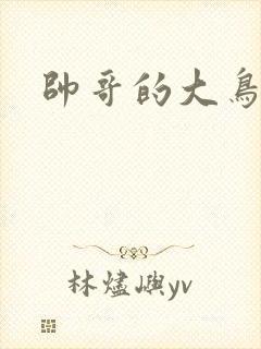 帅哥的大鸟