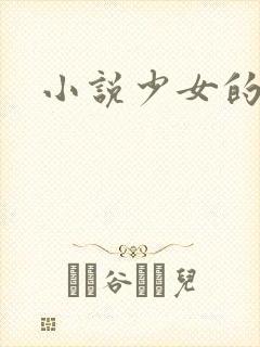 小说少女的心