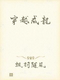 穿越成龙