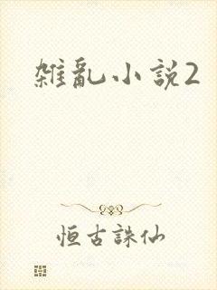 杂乱小说2
