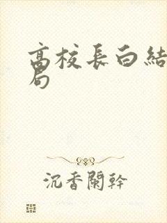 高校长白结大结局