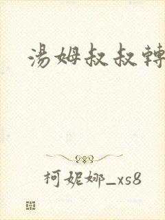 汤姆叔叔转接口