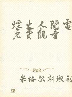 烟火人间电视剧免费观看