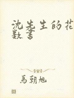 沈先生的花式调数书