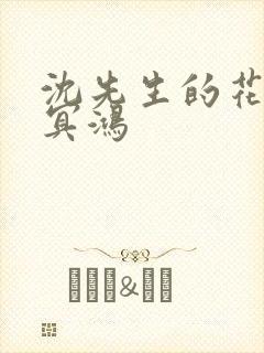 沈先生的花式调冥鸿