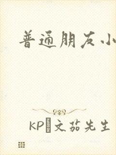 普通朋友小说