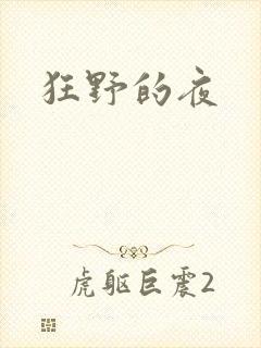 狂野的夜